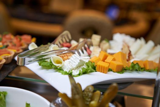 Plate cheese and salad appetizers are different kinds of cheese close-up