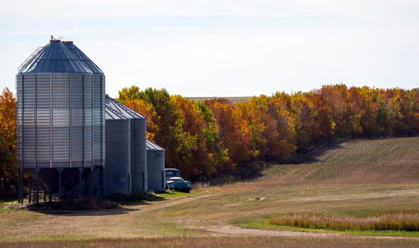 Prairie colors in fall yellow orange trees colorful