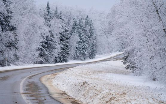 Hoar frost scene in Riding Mountain Manitoba