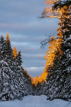 Scenic Prince Albert National Park Canada sunrise light