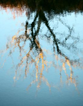 abstract reflection in River at Sunset scenic