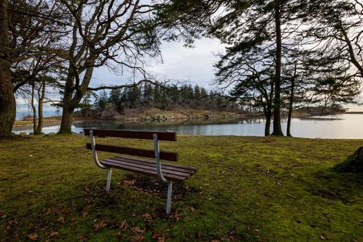 Bench in the nature surrounded by trees with a beautiful view. Picture taken in Pipers Lagoon Park, Nanaimo, Vancouver Island, BC, Canada, during a winter morning.