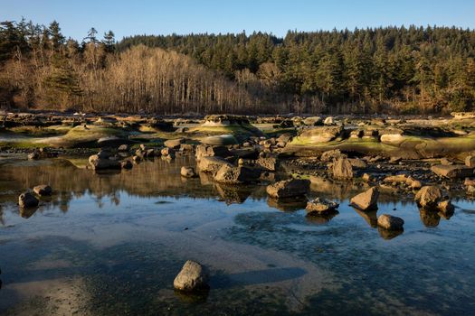 Nature landscape view on a rocky shore during a sunny winter day. Picture taken in Hornby Island, British Columbia, Canada.