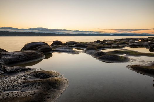 Nature landscape view on a rocky shore during a sunny winter day. Picture taken in Hornby Island, British Columbia, Canada.