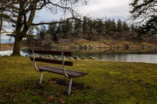 Bench in the nature surrounded by trees with a beautiful view. Picture taken in Pipers Lagoon Park, Nanaimo, Vancouver Island, BC, Canada, during a winter morning.