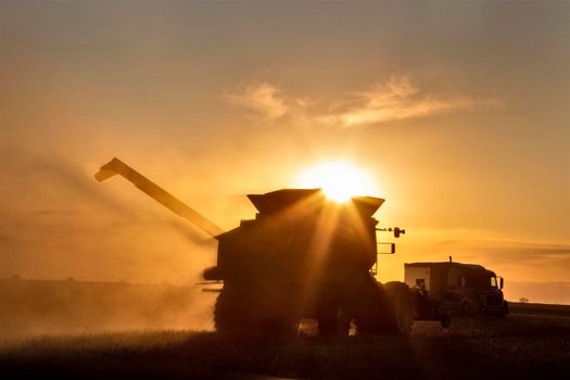 Harvest Sunset Canada Sasktchewan yellow sillouette combine