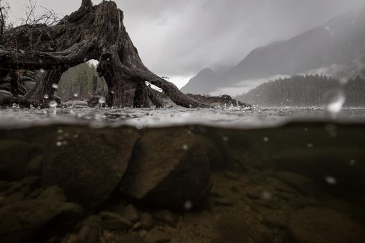 Over and Under picture of a beautiful nature landscape at Buntzen Lake, Anmore, Greater Vancouver, BC, Canada. Taken on a cloudy spring day during hail and rain.