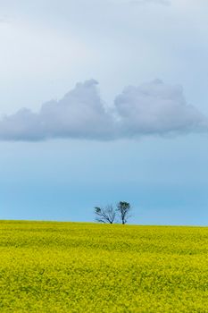 Ominous Storm Clouds Prairie Summer Rural Scene