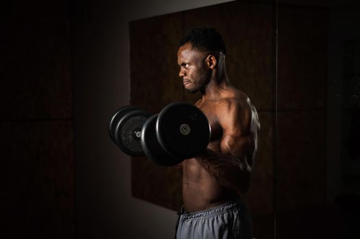 Muscular dark-skinned man doing an exercise with dumbbells