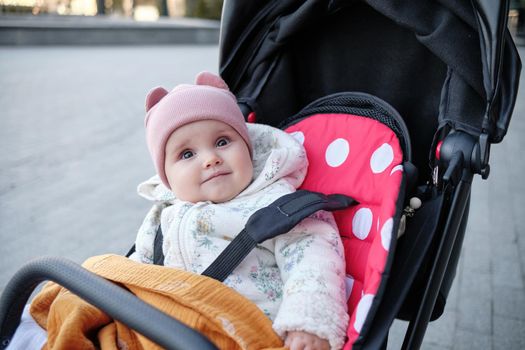 Baby in stroller on a walk in summer park. Adorable little boy in checkered shirt sitting in blue pushchair.Child in buggy