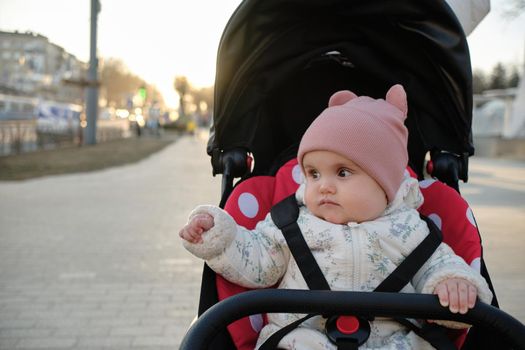 Baby in stroller on a walk in summer park. Adorable little boy in checkered shirt sitting in blue pushchair.Child in buggy