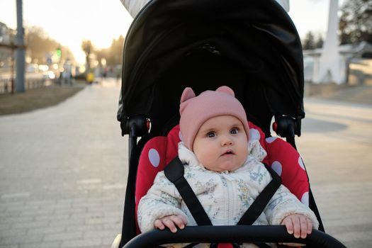 Baby in stroller on a walk in summer park. Adorable little boy in checkered shirt sitting in blue pushchair.Child in buggy