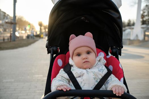 Baby in stroller on a walk in summer park. Adorable little boy in checkered shirt sitting in blue pushchair.Child in buggy