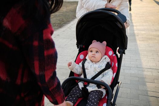 Baby in stroller on a walk in summer park. Adorable little boy in checkered shirt sitting in blue pushchair.Child in buggy