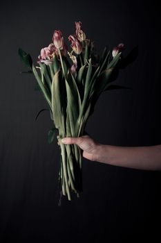 Female hands holding a sluggish flower. grey background. Leaves in hands.