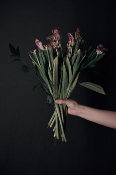 Female hands holding a sluggish flower. grey background. Leaves in hands.