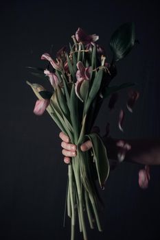 male hands holding a sluggish flower. grey background. Leaves in hands.