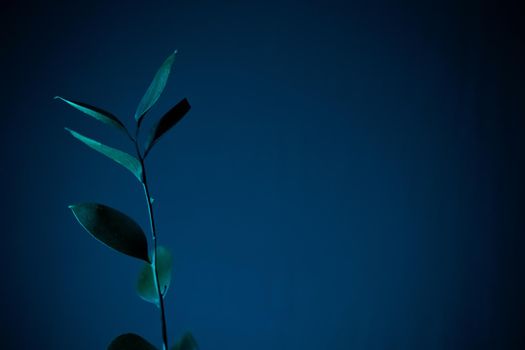 Glamor blue tropical leaves and shadow on dark blue background, art deco style, selective focus.