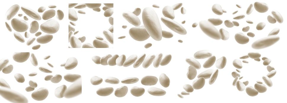 A set of photos. White beans levitate on a white background,