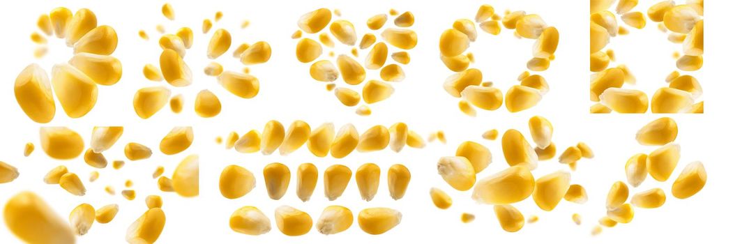 A set of photos. Ripe corn grains levitate on a white background.