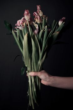 Female hands holding a sluggish flower. grey background. Leaves in hands.