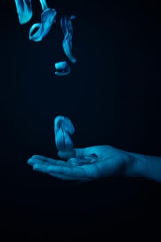 hand on a black background catches falling tulip petals