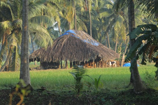 village poor people in Hyderabad India 5th March 2023