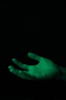 hand on a black background catches falling tulip petals