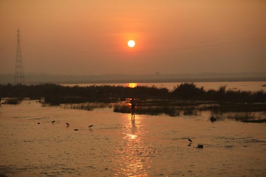 Rural Village area India