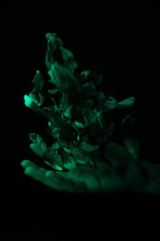 hand on a black background catches falling tulip petals