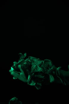 hand on a black background catches falling tulip petals