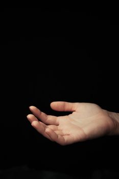 hand on a black background catches falling tulip petals