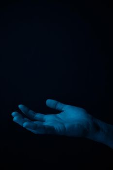 hand on a black background catches falling tulip petals