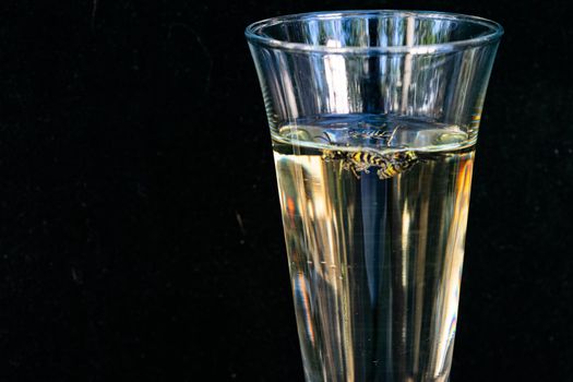 Wasp swims in a glass of champagne on a black background. Close up