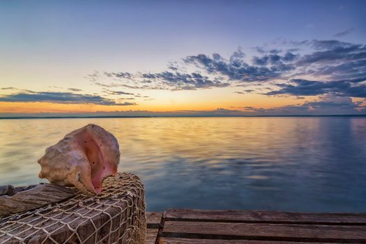 Amazing seascape with a seashell in the left corner 