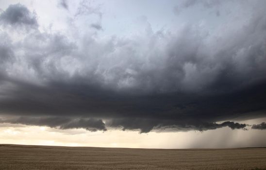 Prairie Storm Clouds Canada Saskatchewan Dramatic Summer