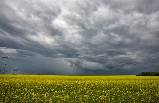 Prairie Storm Clouds Canada Saskatchewan Dramatic Summer