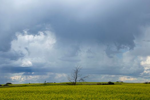 Ominous Storm Clouds Prairie Summer Rural Scene