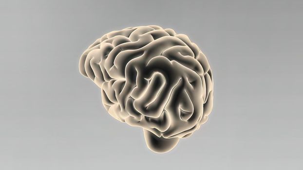 Medical 3D illustration of human brain 3d illustration