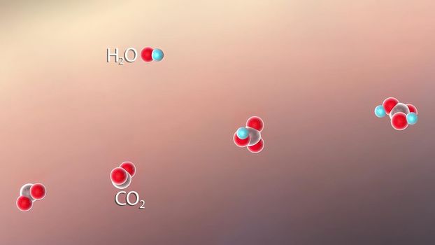 Acidosis, excessive production of acid in the blood or excessive loss of bicarbonate from the blood