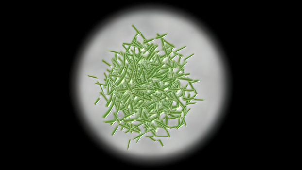 Intestinal villi with bacteria and viruses. Microscopic villi, capillaries for digestion and absorption of food. Human intestine. Concept of a healthy or diseased intestine. Loop