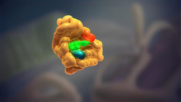 Cell nucleus and protein 3d 3d illustration