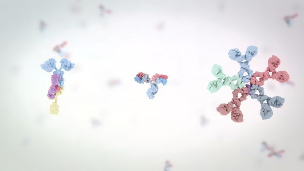 Antibodies are proteins produced by the immune system to fight infections. 3D Render