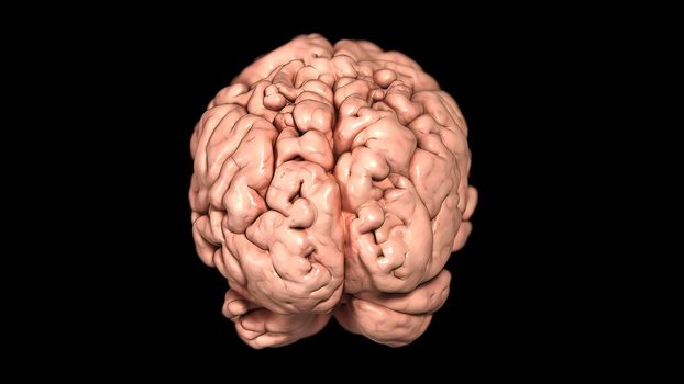 Rotating brain anatomy on black background. 3D medical illustration .