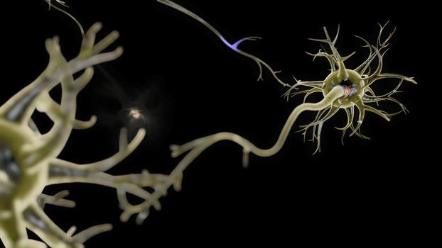Neuronal and Synapse Activity illustration. Neurons in the head, neuroactivity, synapses, neurotransmitters, brain, axons. Electrical impulses inside the human brain. 3D illustration