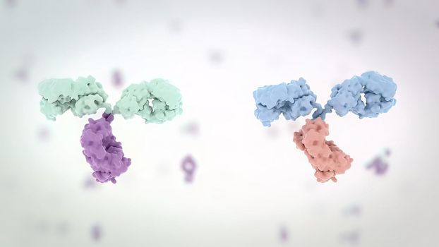 Antibodies are proteins made by the immune system to fight infections such as viruses and can help prevent the same infections from occurring in the future. 3D Render