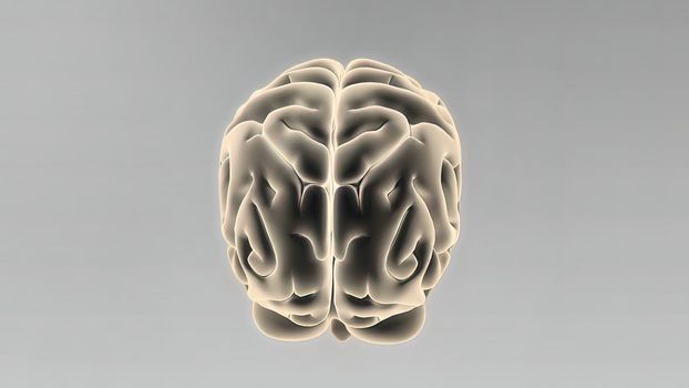 Medical 3D illustration of human brain 3d illustration