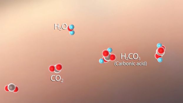 accumulation of carbon dioxide in the blood due to shortness of breath (respiratory acidosis)