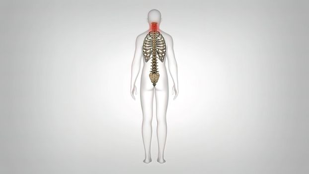 Representation of pain in the human body as a result of back and neck pain. 3D illustration