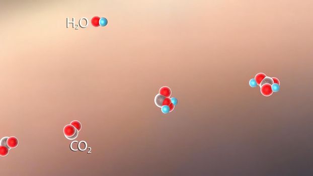 accumulation of carbon dioxide in the blood due to shortness of breath (respiratory acidosis)